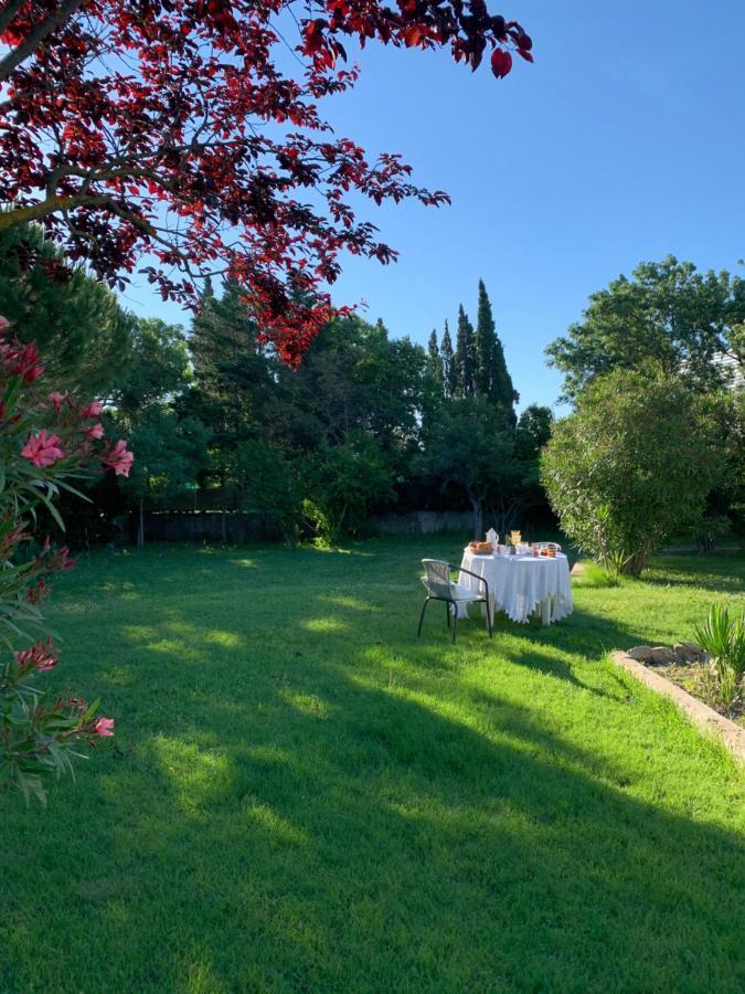 Le Jardin De Lacoste Narbonne Kültér fotó
