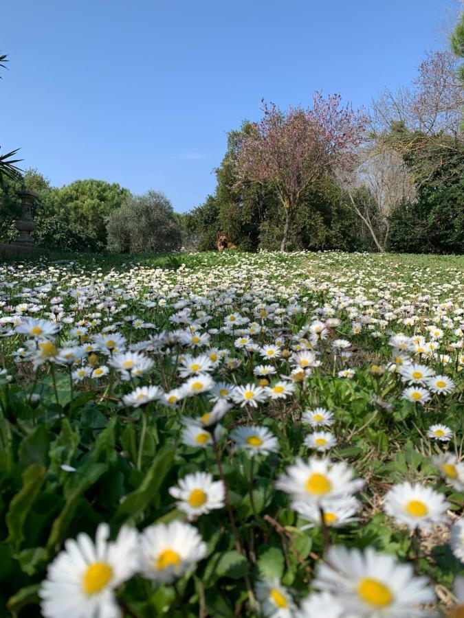Le Jardin De Lacoste Narbonne Kültér fotó