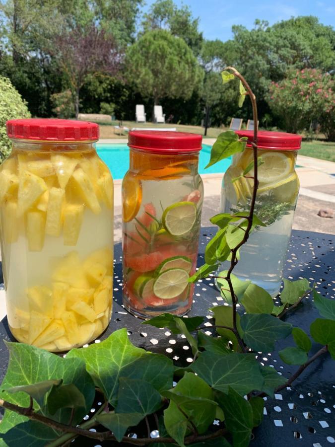 Le Jardin De Lacoste Narbonne Kültér fotó
