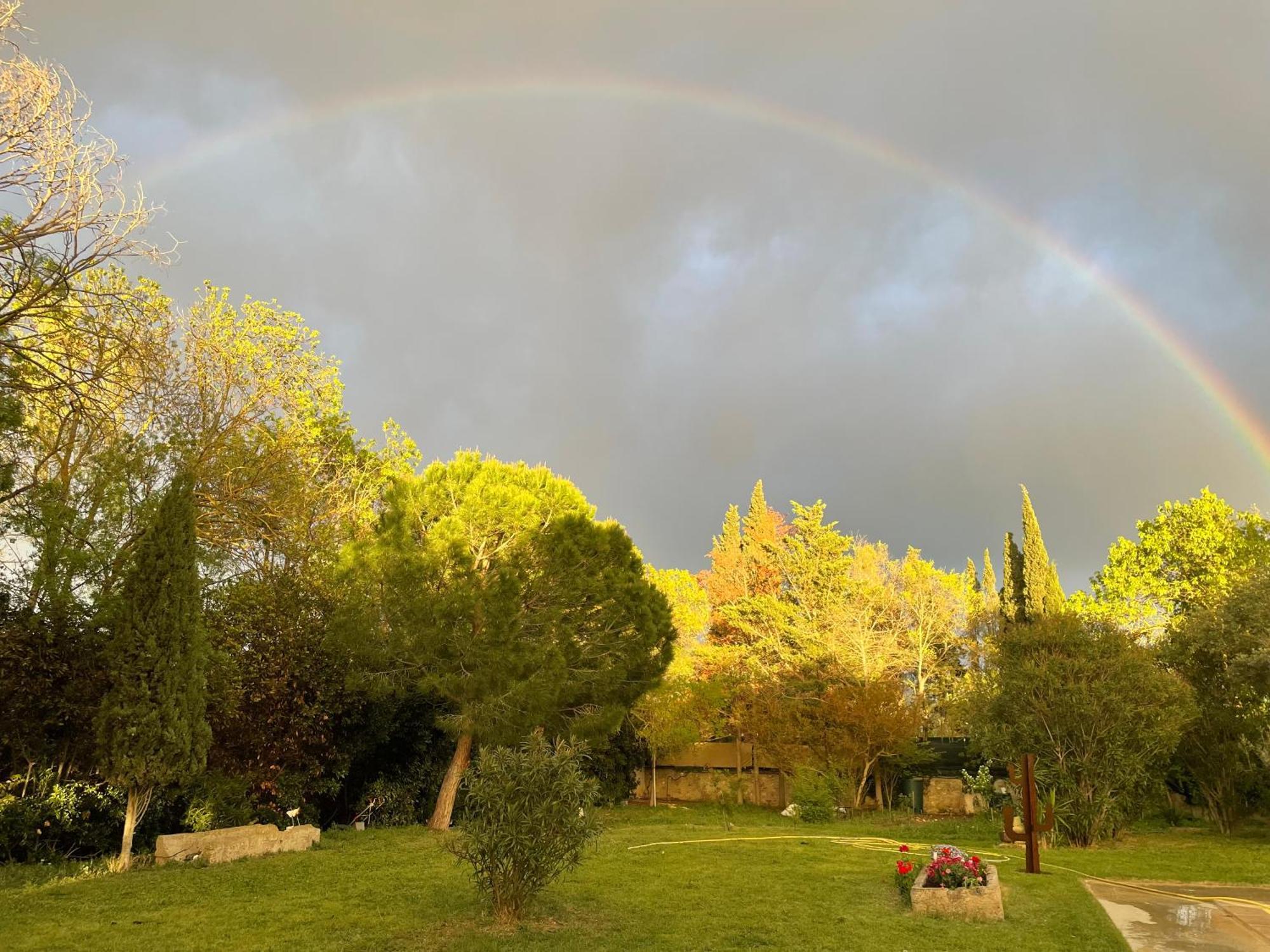 Le Jardin De Lacoste Narbonne Kültér fotó