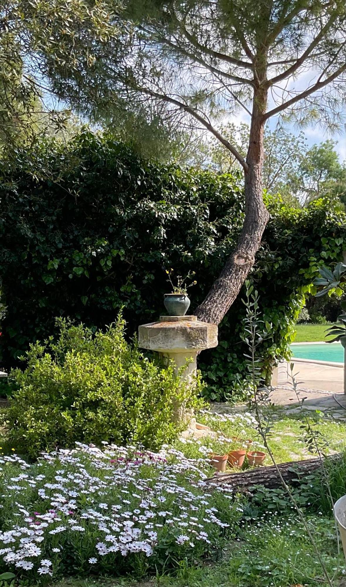 Le Jardin De Lacoste Narbonne Kültér fotó